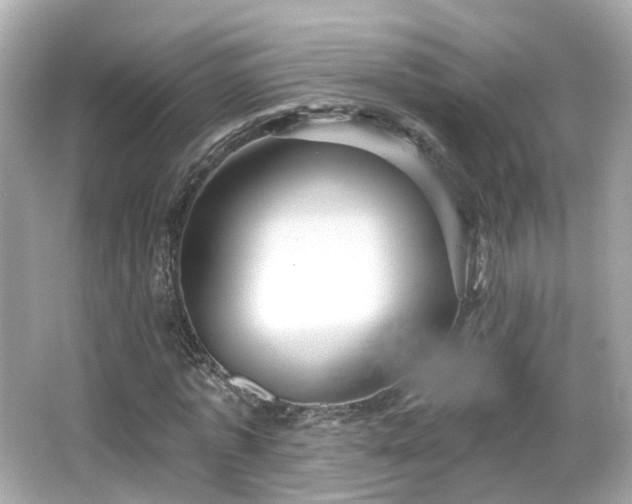 X0000066530773200603201359