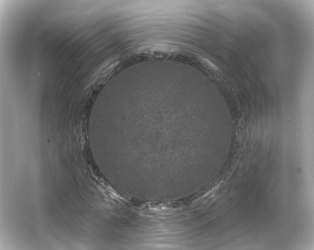 X0000066530774200603201359