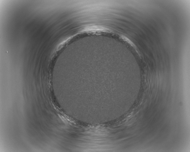 X0000066530775200603201359