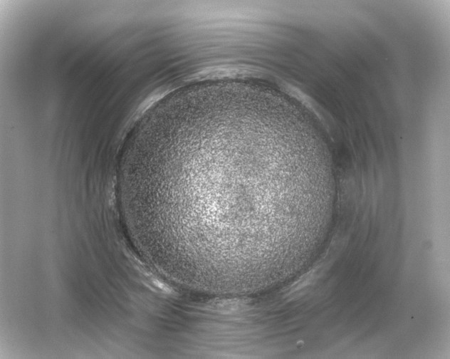 X0000066530778200603201359
