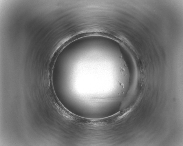 X0000066530781200603201358