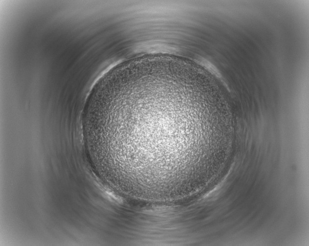 X0000066530782200603201358
