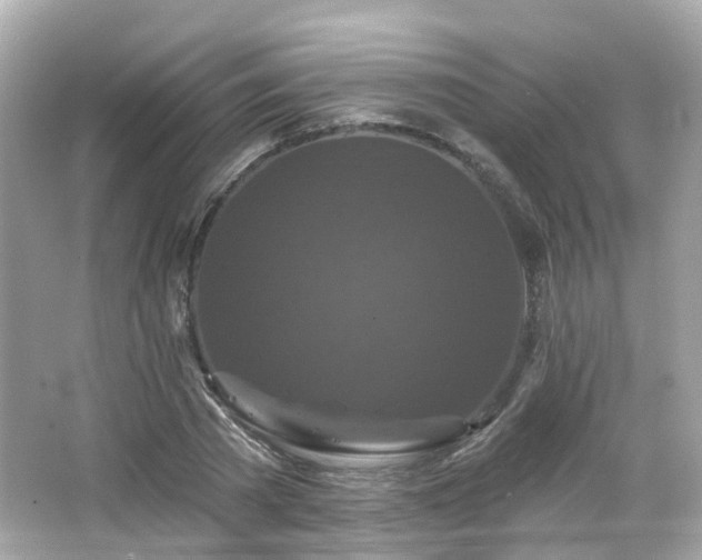 X0000066530785200603201358