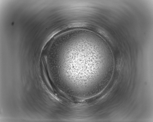 X0000066530786200603201358