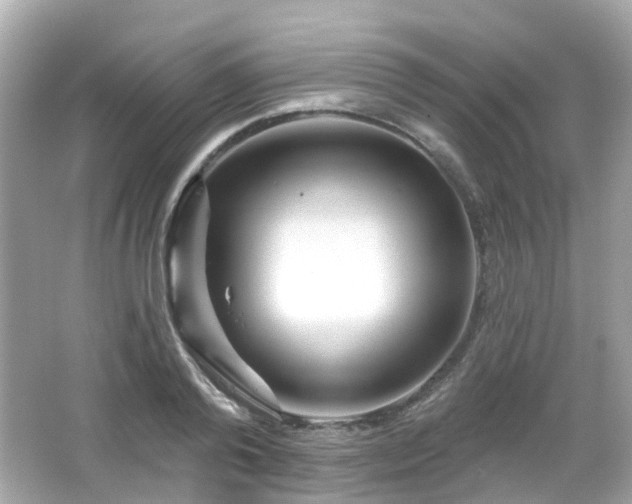 X0000066530792200603201358