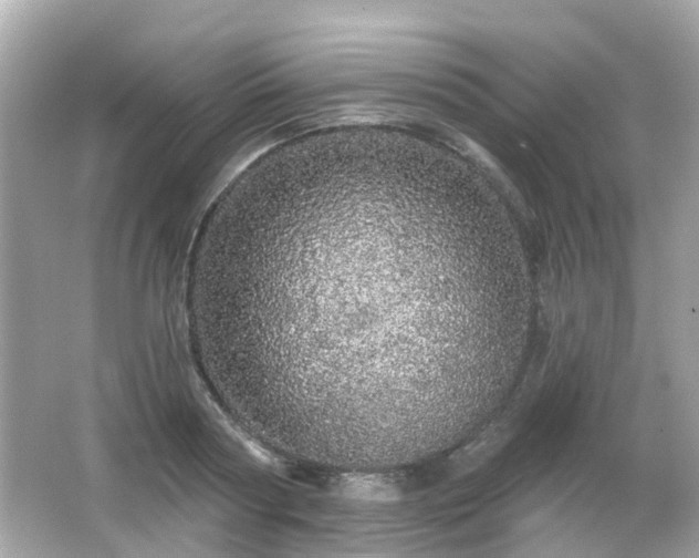 X0000066530794200603201358