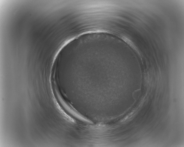 X0000066530797200603201358