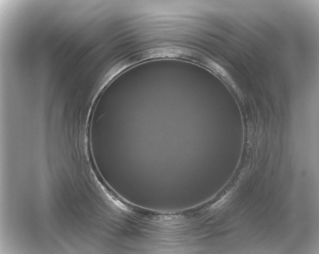 X0000066530802200603201358