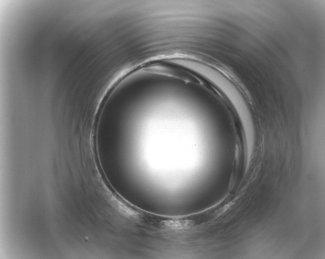 X0000066530805200603201358