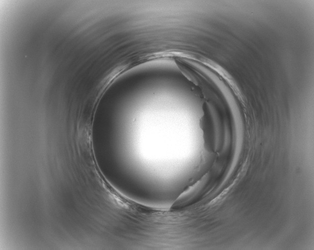 X0000066530809200603201358