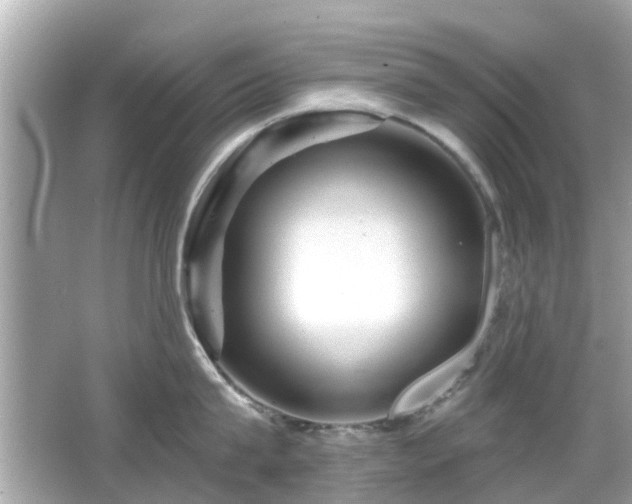X0000066530815200603201358