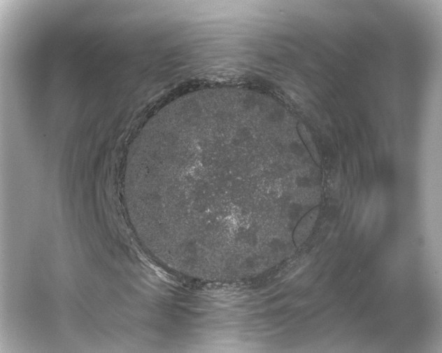 X0000066530817200603201357