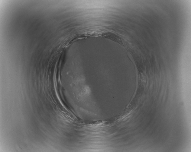 X0000066530818200603201357