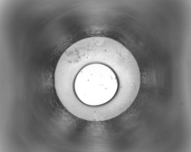 X0000066530820200603201357
