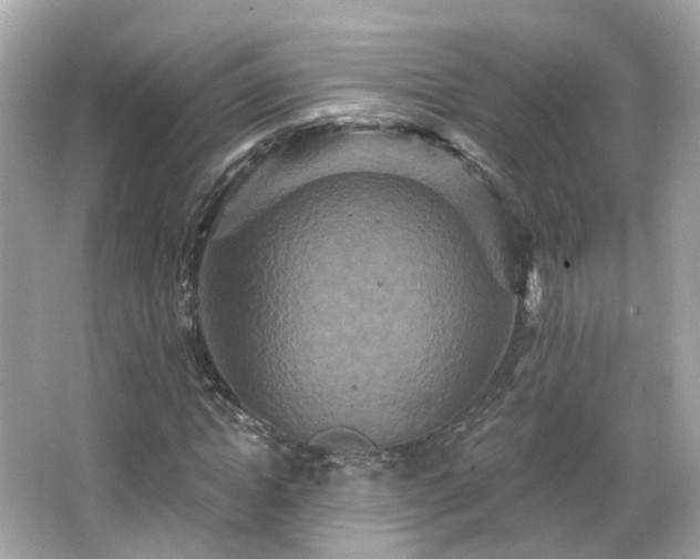X0000066530822200603201357