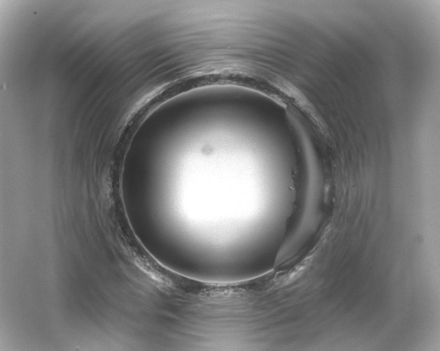 X0000066530826200603201357