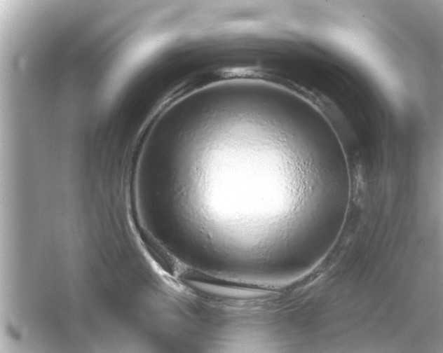 X0000066530861200603201358