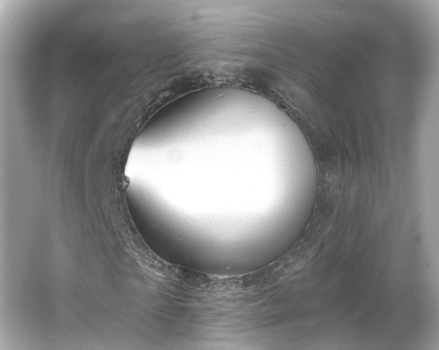 X0000066530865200603201357