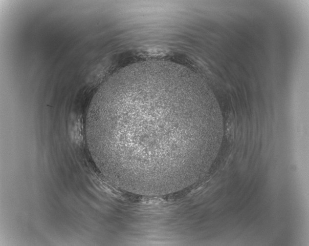 X0000066530866200603201357
