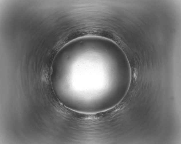 X0000066530867200603201357