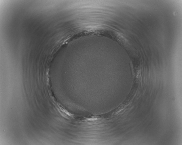 X0000066530868200603201357