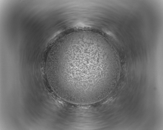 X0000066530870200603201357