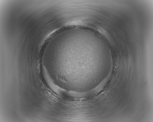 X0000066530872200603201357
