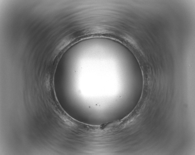 X0000066530873200603201357