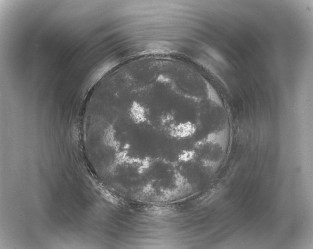 X0000066530874200603201357