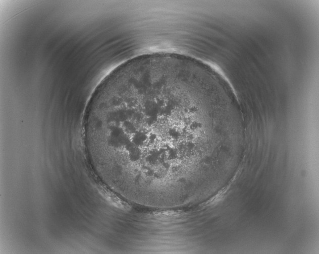 X0000066530879200603201357