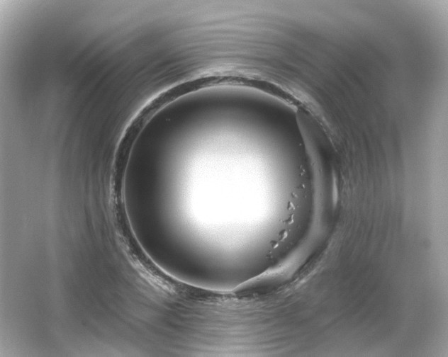 X0000066530880200603201357
