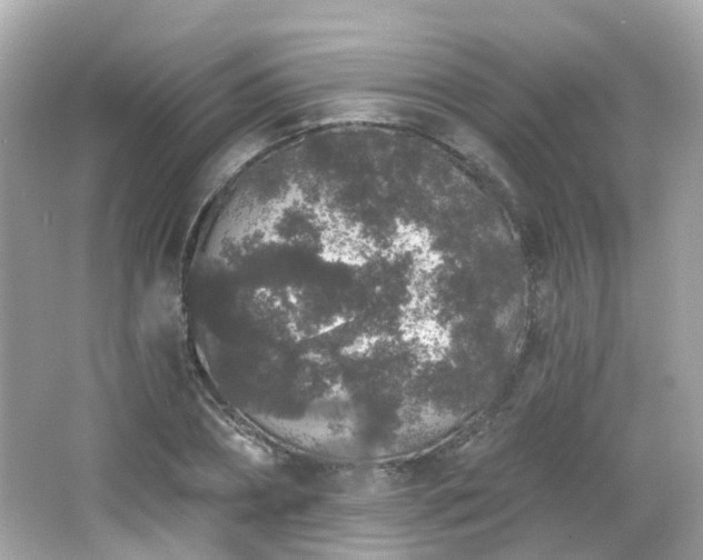 X0000066530882200603201357