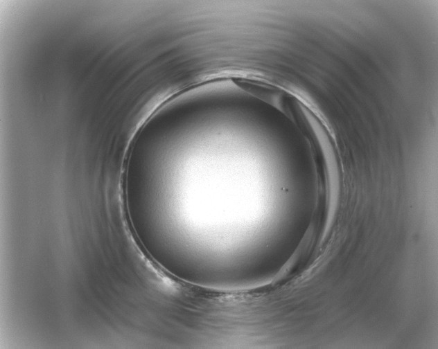 X0000066530906200603201356