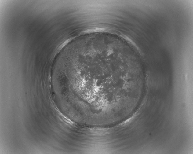 X0000066530921200603201356