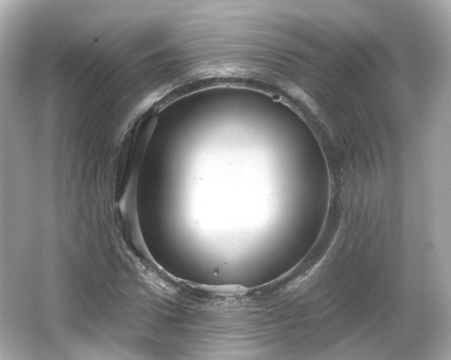 X0000066530922200603201356