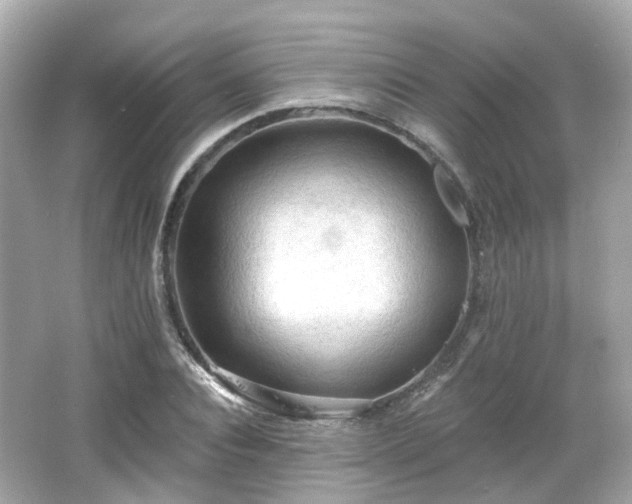 X0000066530928200603201356