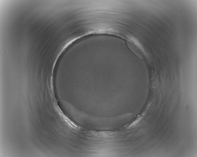 X0000066530932200603201356