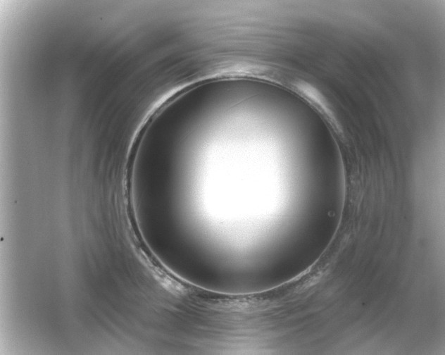 X0000066530948200603201356