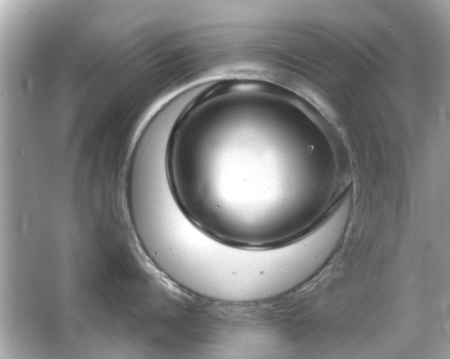 X0000066530960200603201356