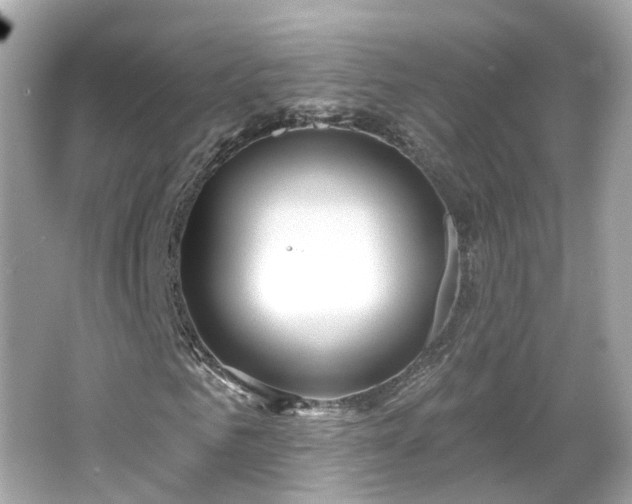 X0000066530961200603201355