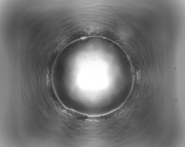 X0000066530963200603201355