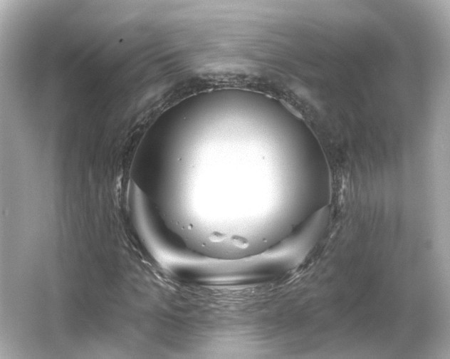 X0000066530965200603201355