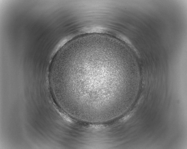 X0000066530978200603201355