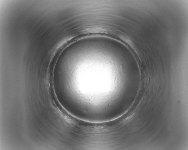 X0000066530979200603201355