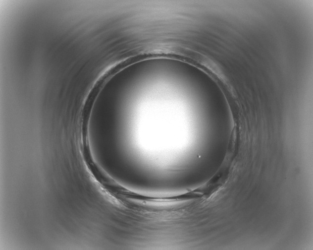 X0000066530984200603201355