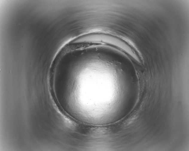 X0000066530991200603201355