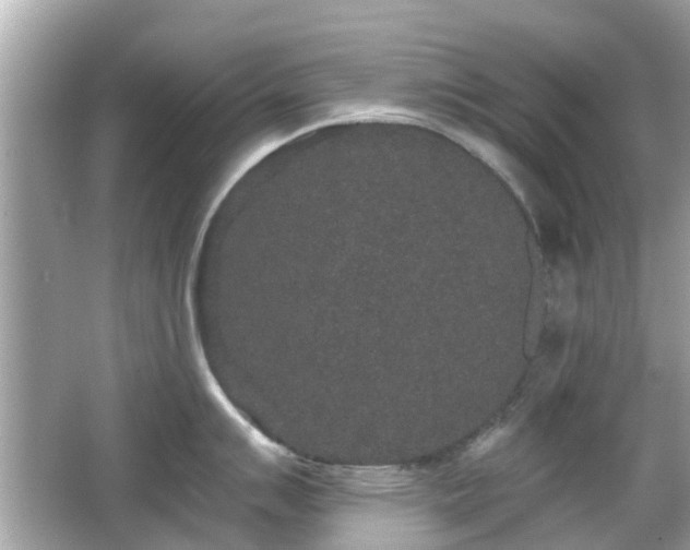 X0000066531007200603201355