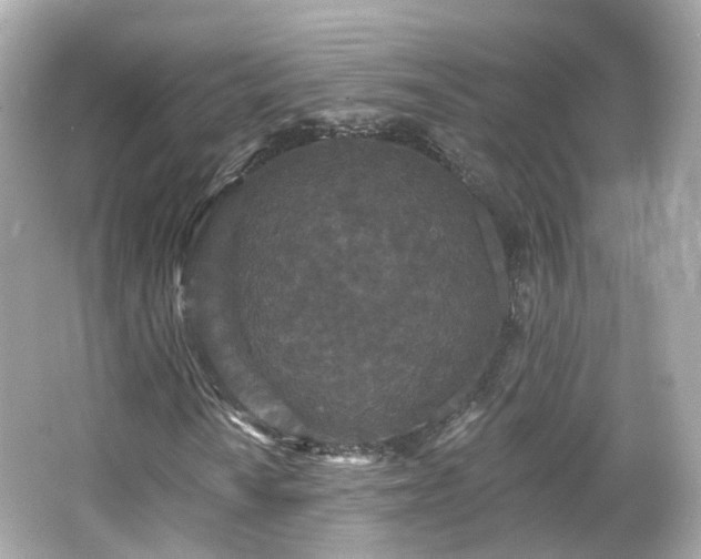 X0000066531010200603201354