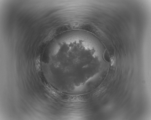 X0000066531011200603201354