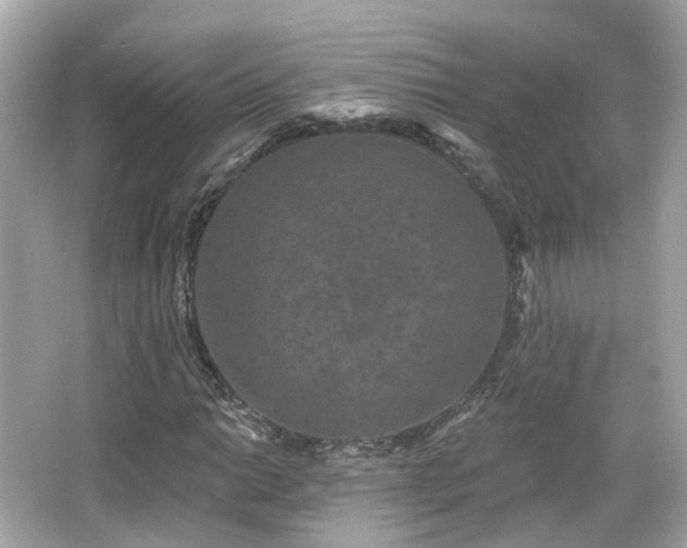 X0000066531014200603201354